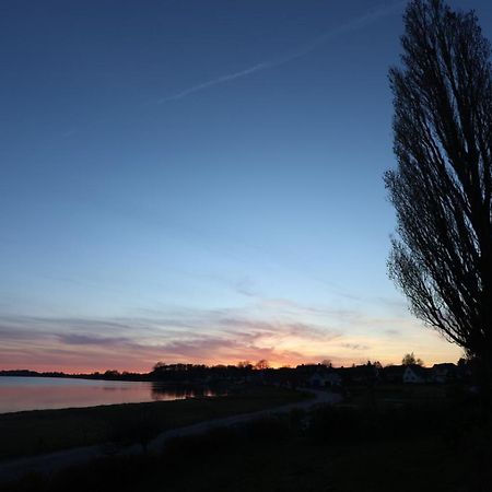 Ferienwohnung Drachen Alt Reddevitz Bagian luar foto