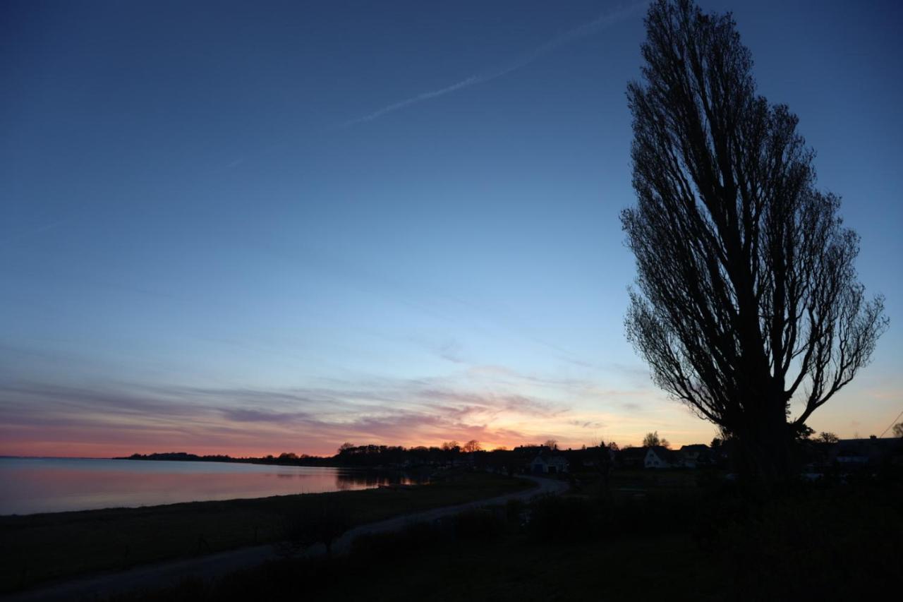 Ferienwohnung Drachen Alt Reddevitz Bagian luar foto